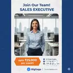 Business Development Executive (Male/Female)