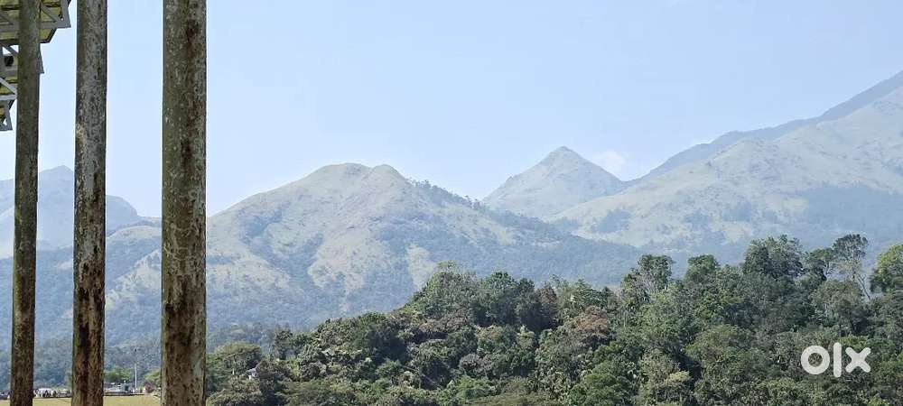 സ്ഥലം വില്പനയ്ക്ക്