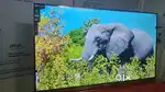 32 inch New smart led tv