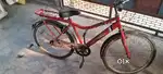 2 year old cycle