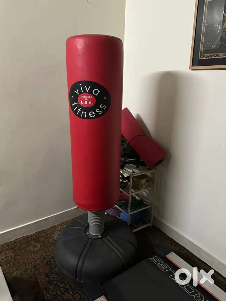 Treadmill and Gym equipment