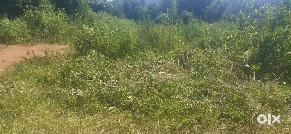 Land for sale at Jaroit dewiong diengpasoh 3000 sqft @180 negotiable