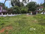 കറുകുറ്റി നാഷണൽ ഹൈവേയിൽ നിന്ന് 500 മീറ്ററിൽ 10 സെന്റ് സ്ഥലം വില്പനക്ക്