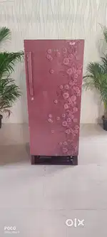 Haier 5 Star 190L Single Door Fridge Pink, Free Delivery Bengaluru.