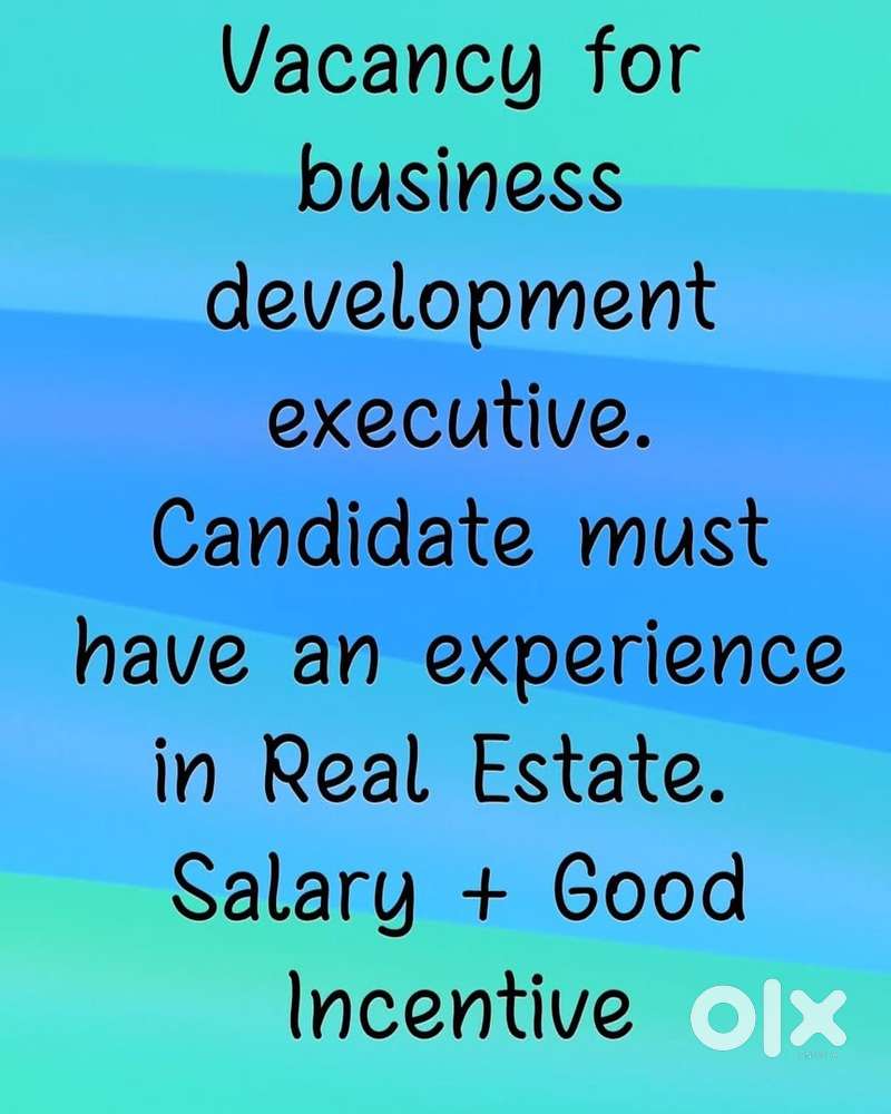 Business Development Executive