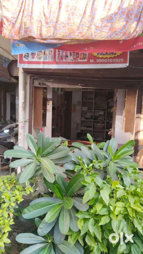 Shop in pitampura