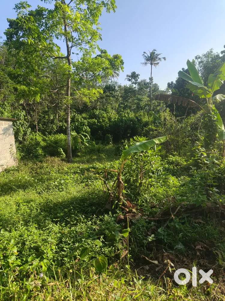 10 cent plot for sale in kalluvathukkal price negotiable