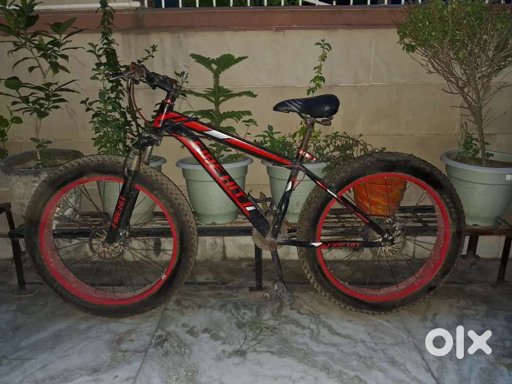 Fat tyre cycle