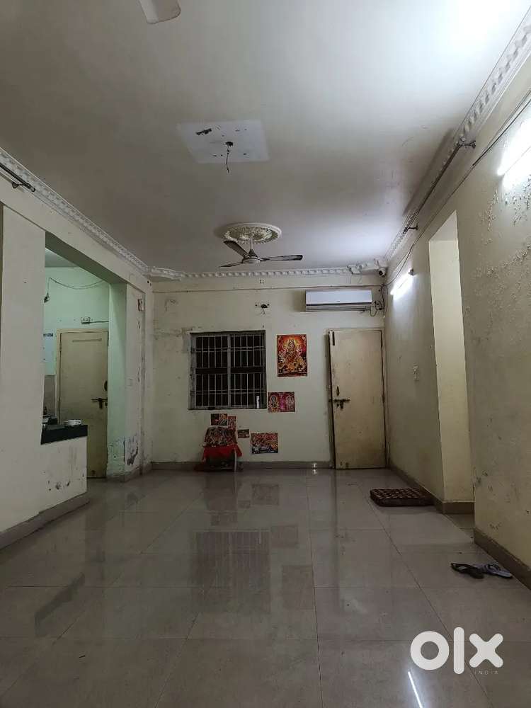 College/job bachelor female needed