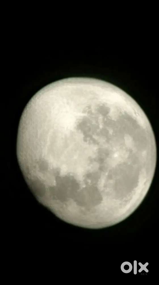 Automobile service advisor