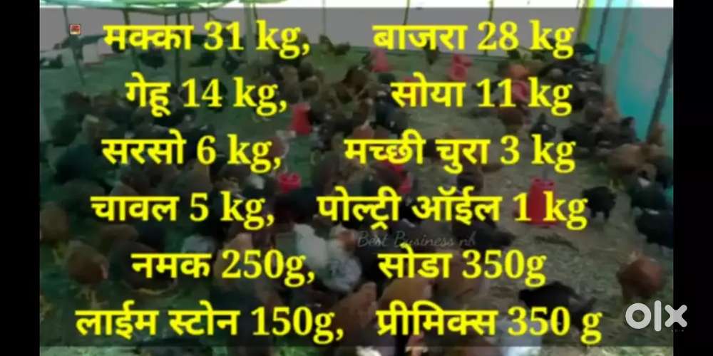 Cycle ke saath feri ke liye log cahiye