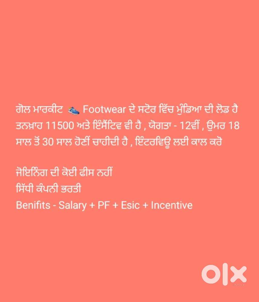 Store Executive Required in Model Town