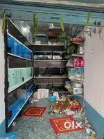 Aquarium Shop Staff.