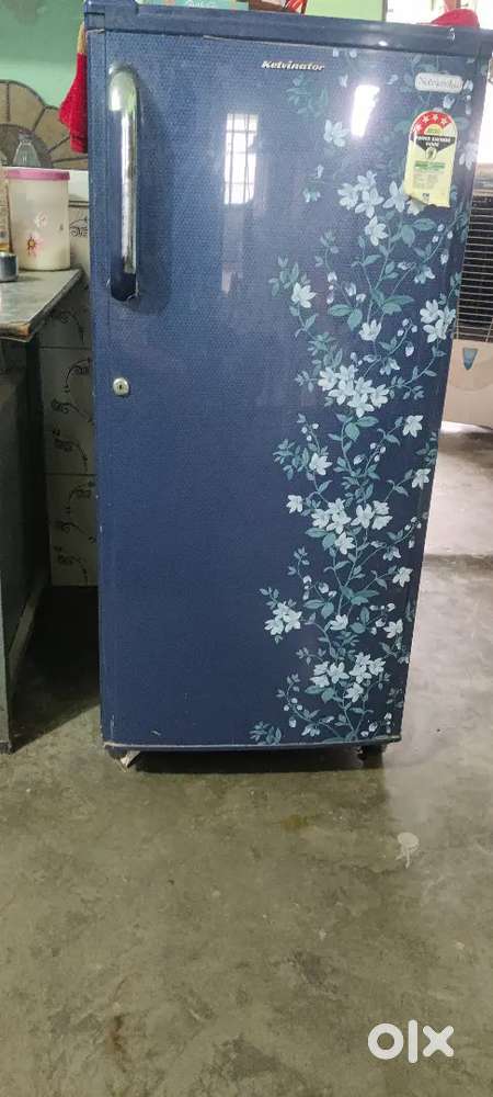 Kelvinator fridge