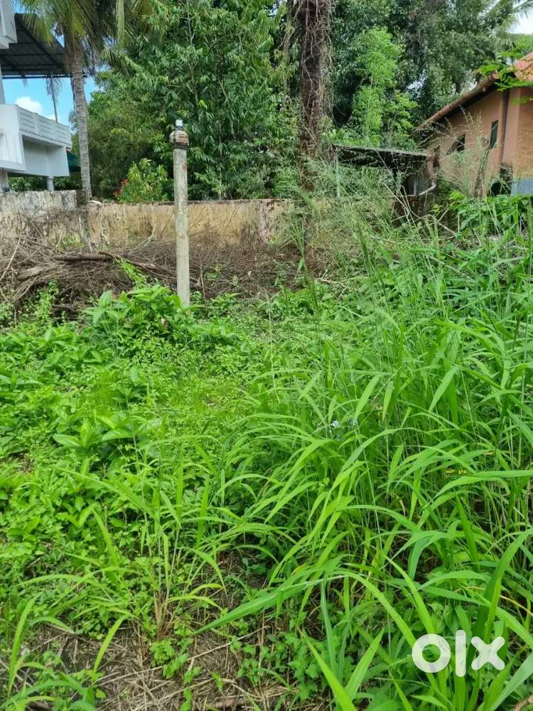 Plot for sale manakkapady junction ,Aluva-paravur road