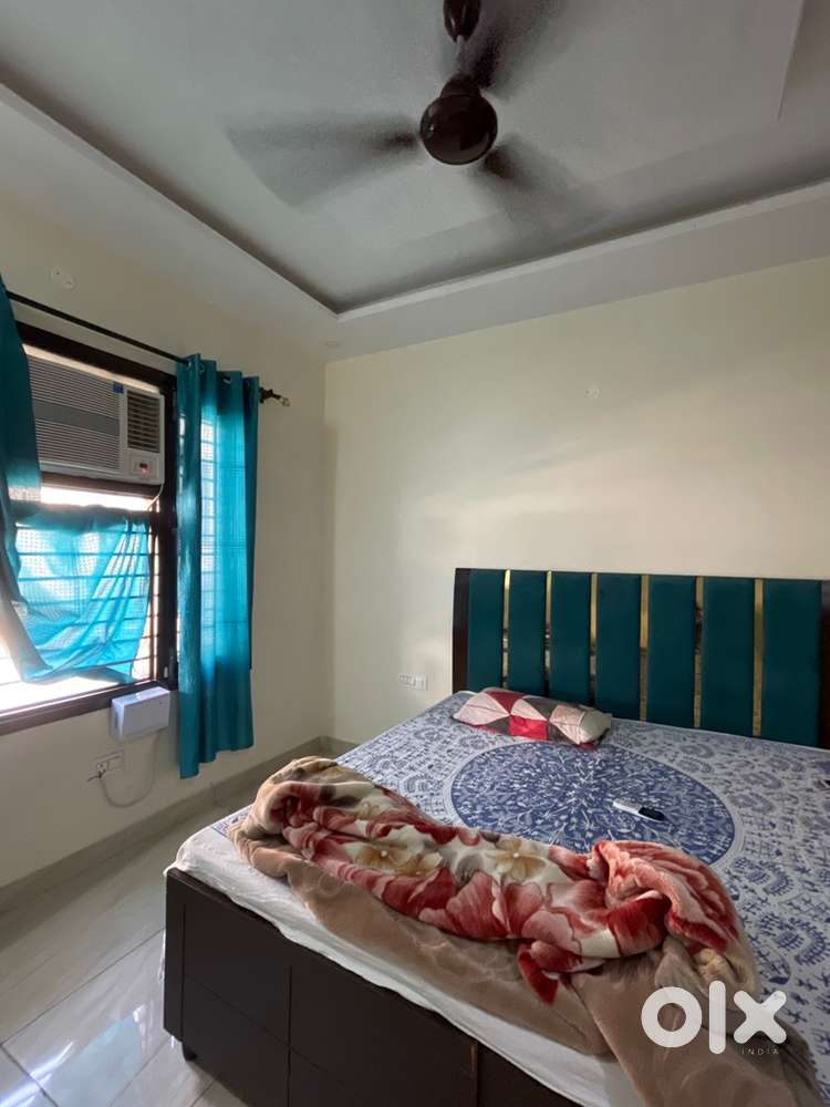Need girl room mate