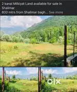 Land on sale at shalimar