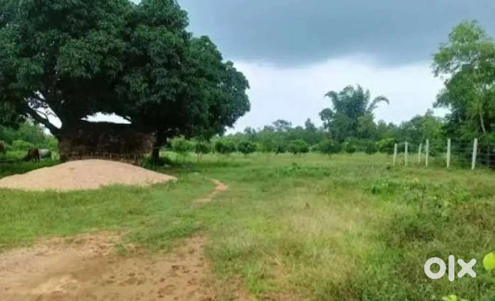 Road side land for rent purpose