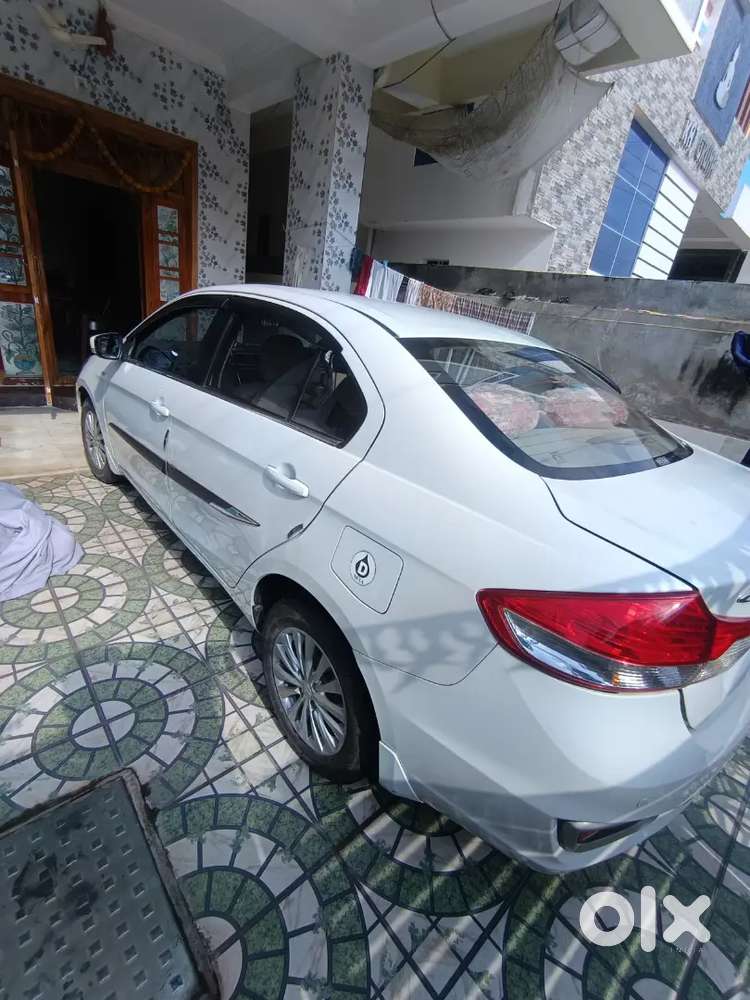 Maruti Suzuki Ciaz 2019 Diesel Well Maintained