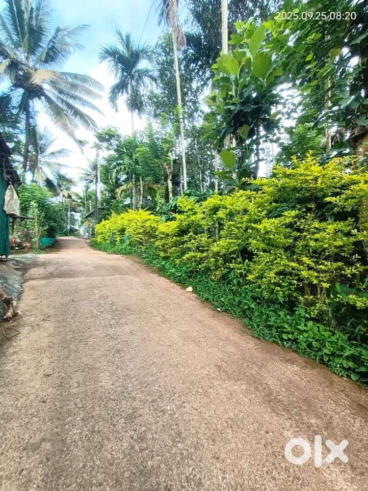 House plot for sale just 3.5km sulthan Bathery