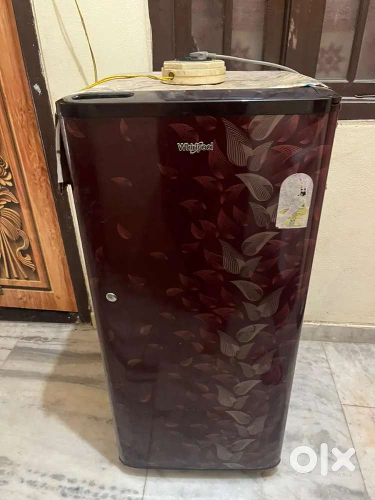 Small single door fridge 10 length