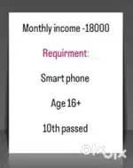 Online business opportunity