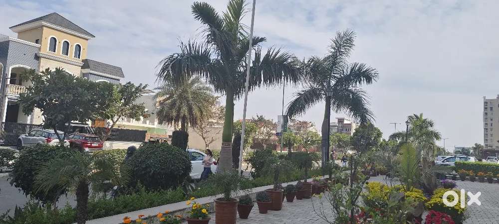 342sqyd plot in sector 110 mohali