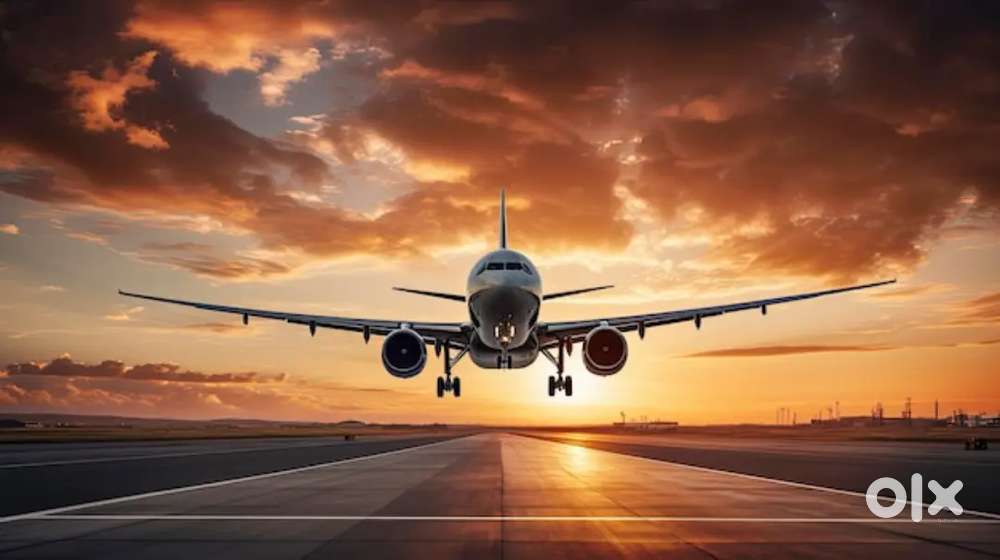 Urgent hiring for indigo airlines apply fast