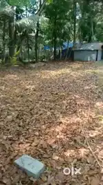 Rsidential land for sale in Alappuzha Komalapuram