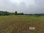 Road Touch Agriculture Land Sale in Mangaon Raigad