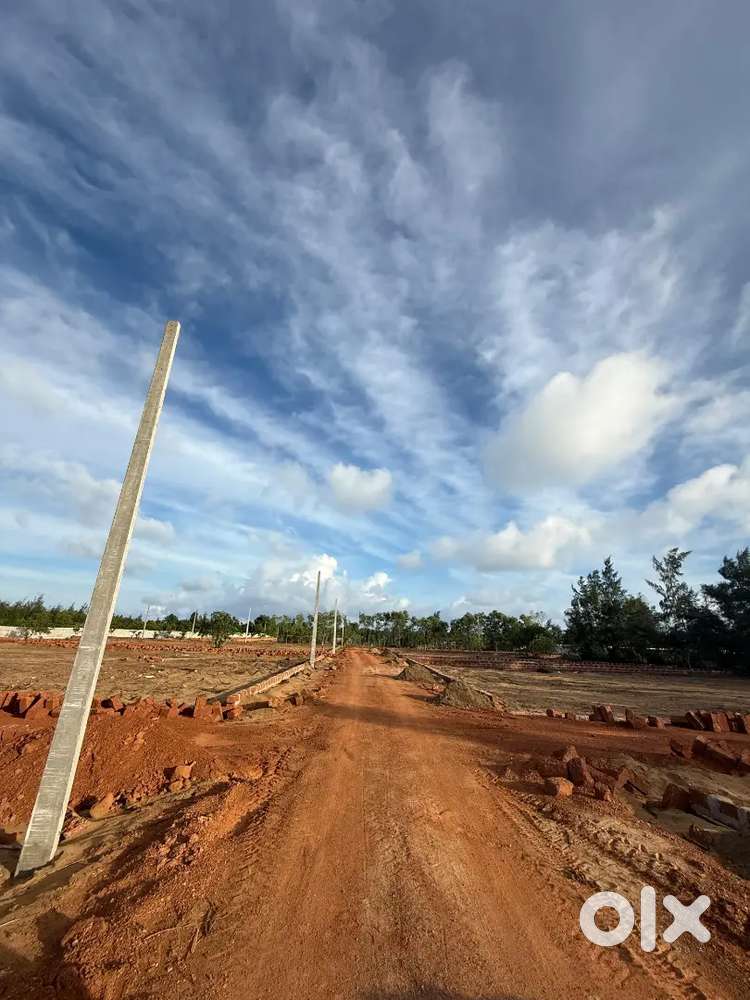 Bali haven plotting and cottage baliharchandi temple bhamagiri puri