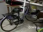 Ladybird bicycle