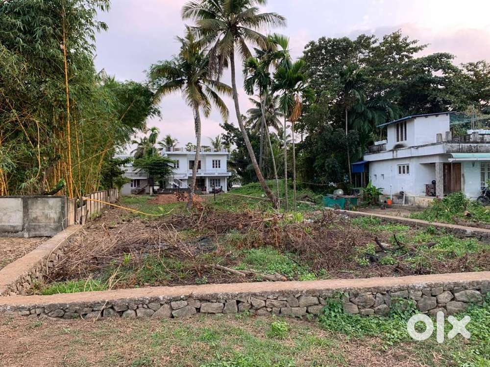 20 Cents Land in Kothad near Aster