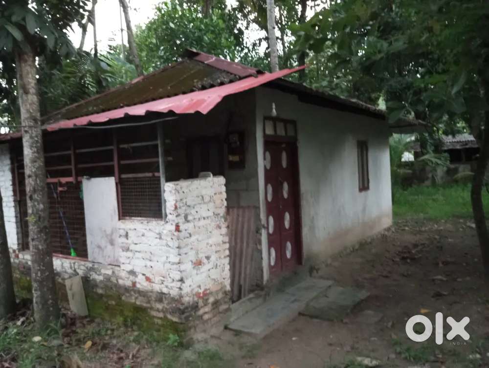 Sheet roof one BHK with attached bathroom for small families available