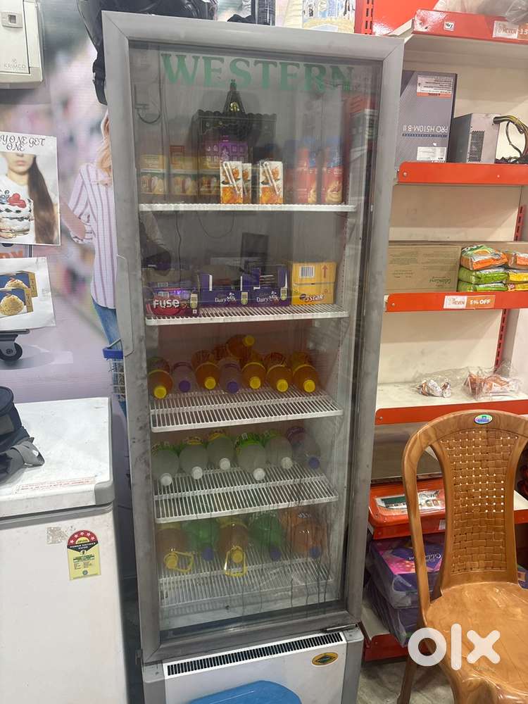Western fridge 250 L