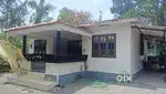 15 cent land and House in Ambalavayal at 32 Lakhs