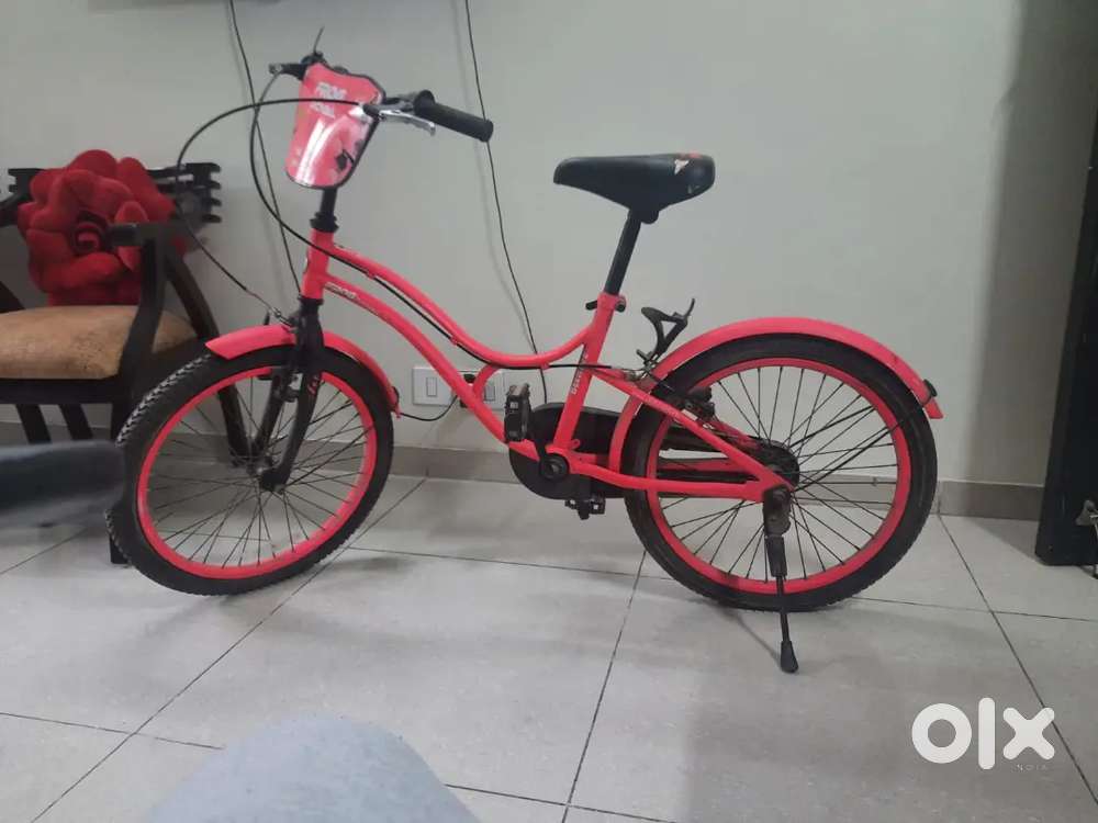 New Frog bike