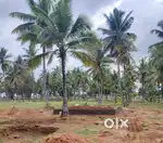 Fully Managed Farm Land at gouribidnur Ready registration