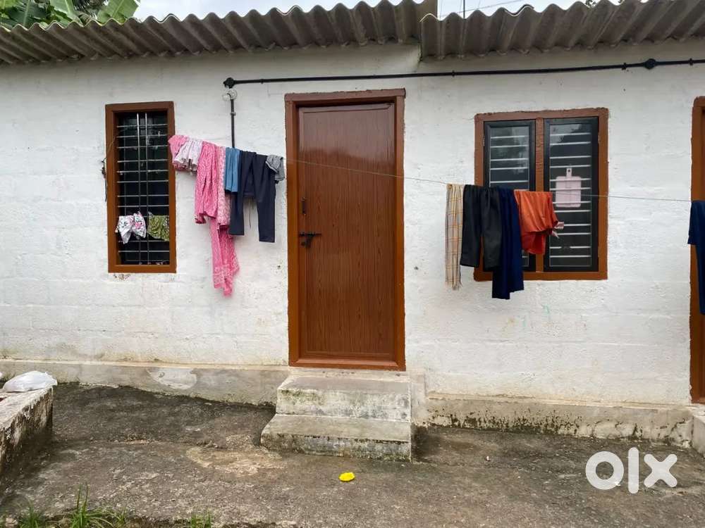 Individual room for rent