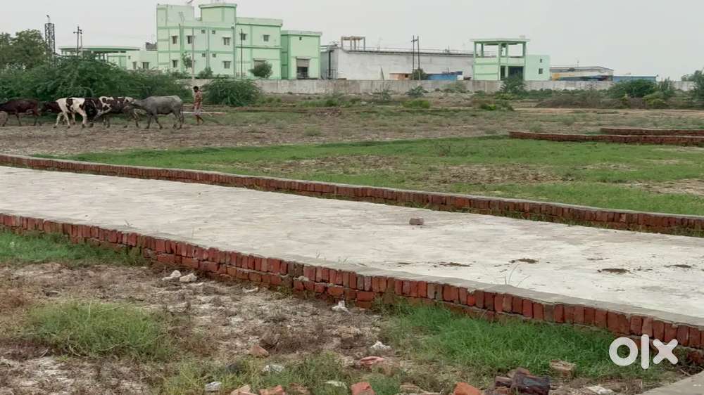 ARS Dreamcity infratech Pvt.ltd.
