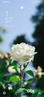 Looking plots for rent /min 75 cent in kollam, trivandrum