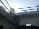 Dogapur Mai New Makan hai police line ke bare se gali Mai hai