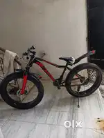 Sunflower Fat Bike