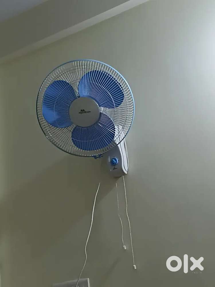 RR signuchare waal fan only 1 day old