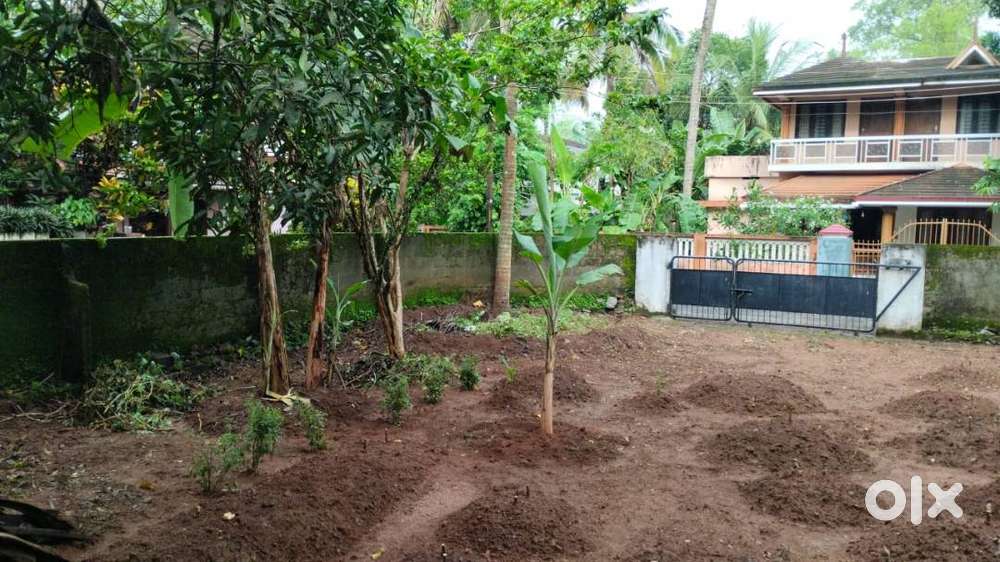 17 cents land at Puthur near Kaiparambu