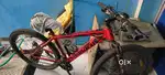 Sports model ROADEO gear cycle
