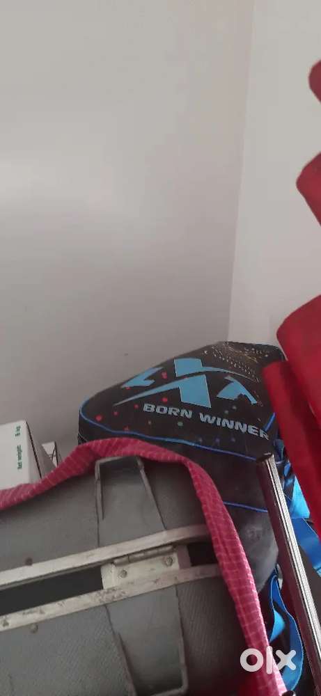 Skating shoes
