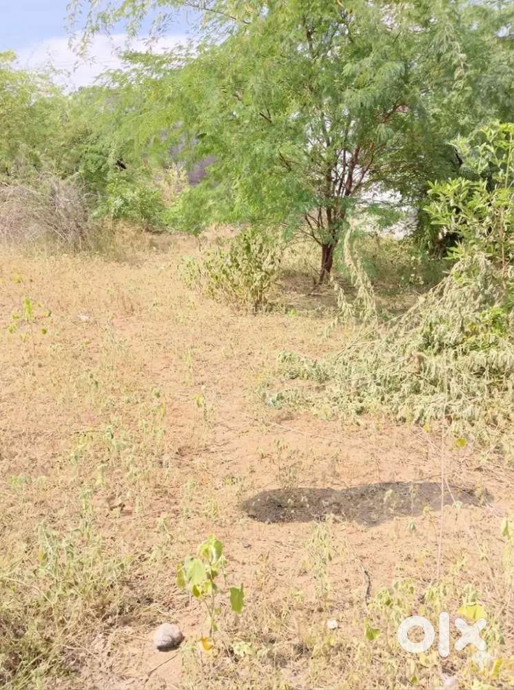 Dindigul atcharajakapatti