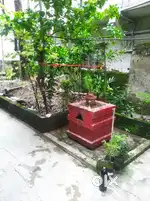 Room for rent near Nimta Bazaar