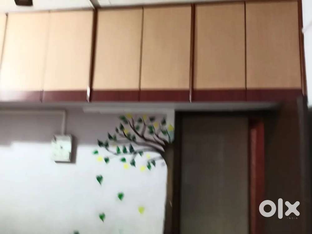 Bachelor girls required